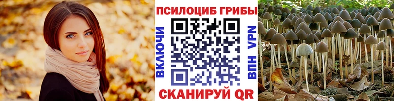 Галлюциногенные грибы GOLDEN TEACHER  Торопец 